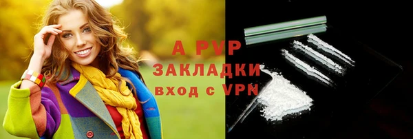 спайс Покачи