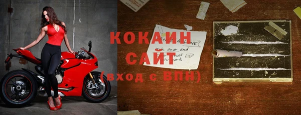 дмт Белокуриха