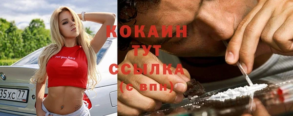 спайс Покачи