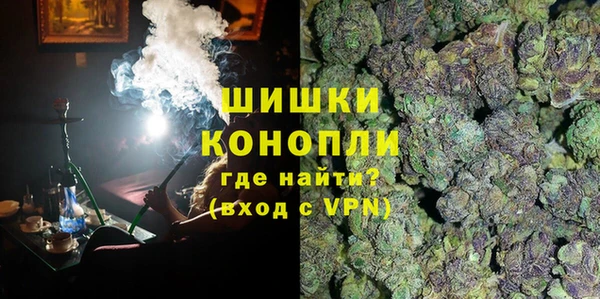 дмт Белокуриха