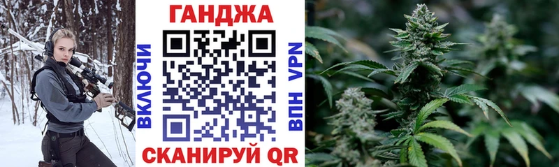 Бошки марихуана конопля  Гудермес 